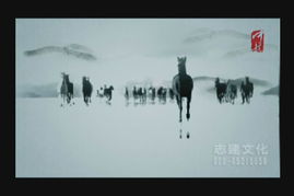 活动策划 广告策划 企业形象策划价格及规格型号